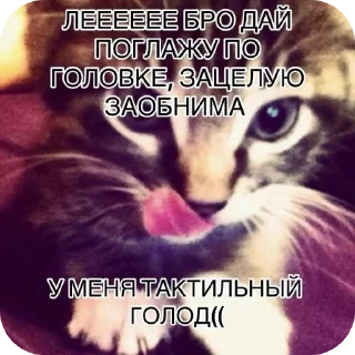 Sticker 💗♈️ - 5