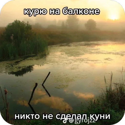 Стикер iIWNznA_by_achestickbot - 1