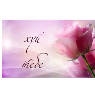 Sticker Больше стиков тут: @stikery4 - 9