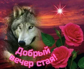 Sticker Больше стиков тут: @stikery4 - 11