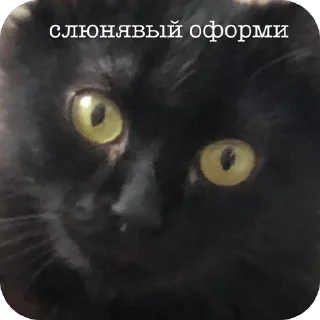 Sticker Больше стиков тут: @stikery4 - 1