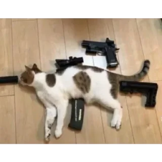 Sticker Больше стиков тут: @stikery4 - 2