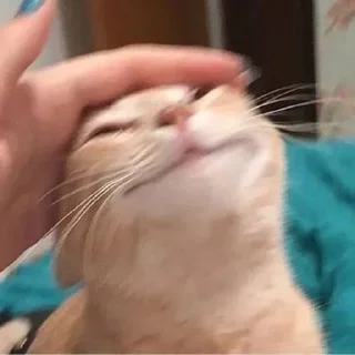 Sticker Больше стиков тут: @stikery4 - 4