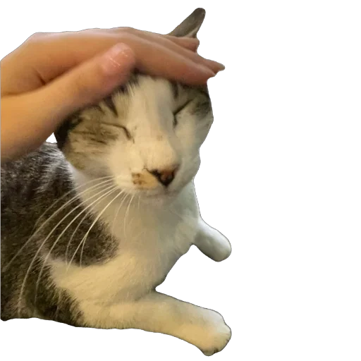 Стикер iek39 - 1