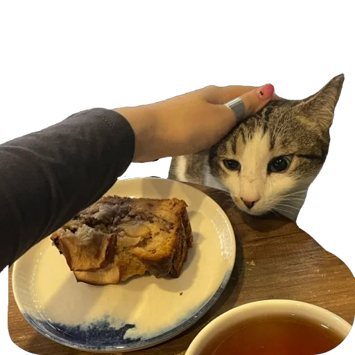 Стикер iek39 - 1