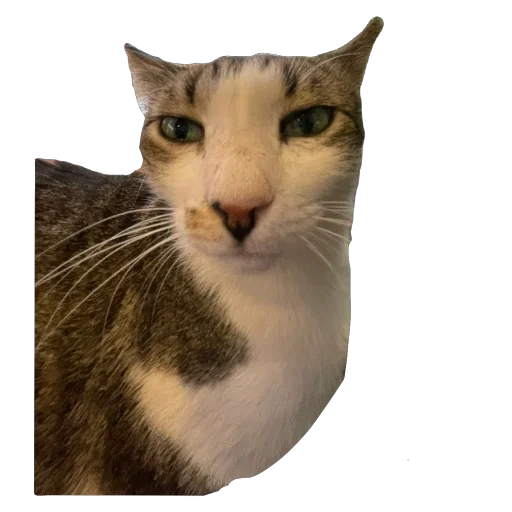 Стикер iek39 - 1