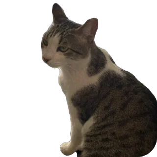 Стикер Çiçek - 1