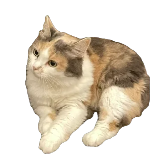 Стикер Çiçek - 0