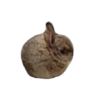 Стикер Çiçek - 10