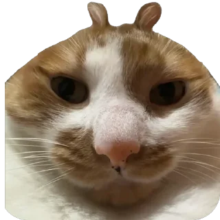 Стикер Çiçek - 8