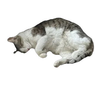 Стикер Çiçek - 7