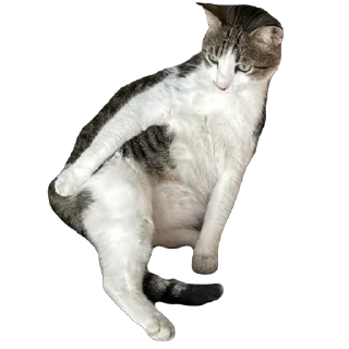 Стикер Çiçek - 4