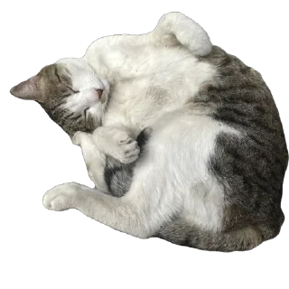 Стикер Çiçek - 2