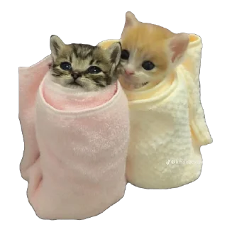 Стикер Çiçek - 9