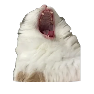 Стикер Çiçek - 6