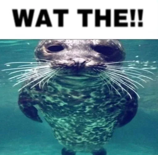 Sticker intakmybf_by_TgEmodziBot - 1