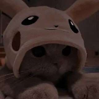 Стикер Больше стиков тут: @stikery4 - 2