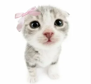 Стикер Больше стиков тут: @stikery4 - 10