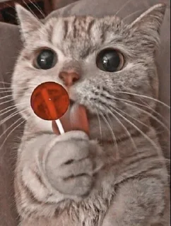 Стикер Больше стиков тут: @stikery4 - 3