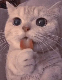 Стикер Больше стиков тут: @stikery4 - 8