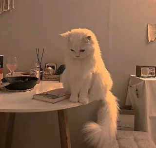 Стикер Больше стиков тут: @stikery4 - 1