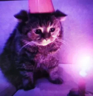 Стикер Больше стиков тут: @stikery4 - 4