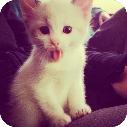 Sticker jhgfyokk - 1