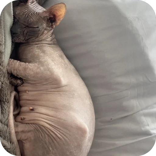 Sticker jhgfyokk - 1