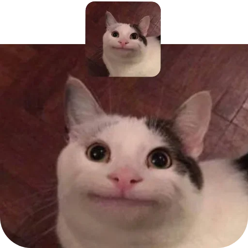 Стикер jkYKCKgUOT_by_Sticker363728bot - 1