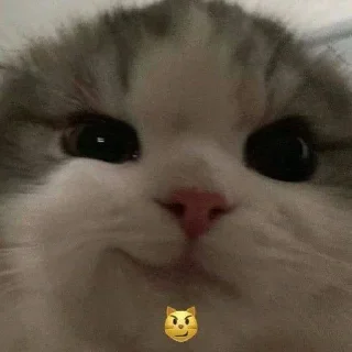 Sticker @stickeri_tg 💋<-- стикеры тут - 10