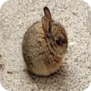 Sticker Больше стиков тут: @stikery4 - 10