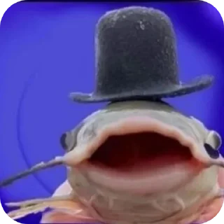 Sticker Больше стиков тут: @stikery4 - 1