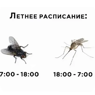 Sticker Больше стиков тут: @stikery4 - 8