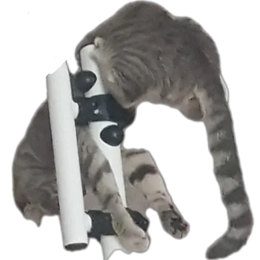 Sticker jseJbom_by_achestickbot - 1