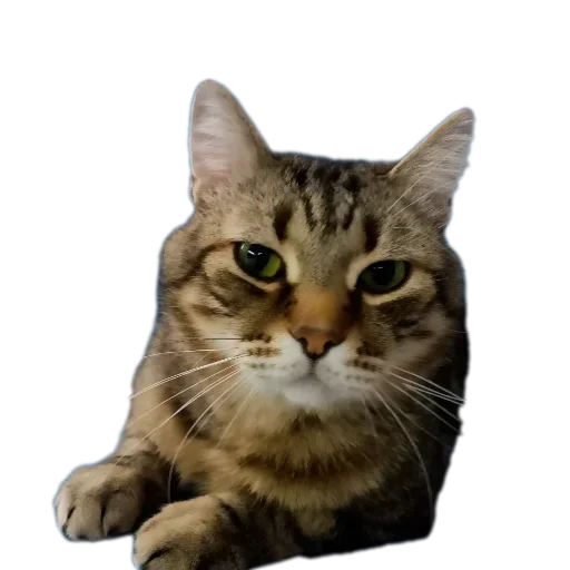 Sticker jseJbom_by_achestickbot - 1