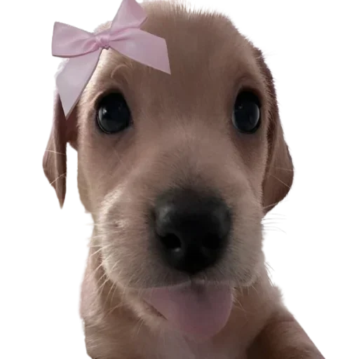 Sticker jseJbom_by_achestickbot - 1