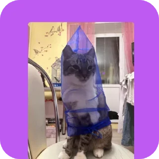 Sticker Больше стиков тут: @stikery4 - 7