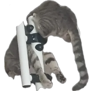 Sticker Больше стиков тут: @stikery4 - 11