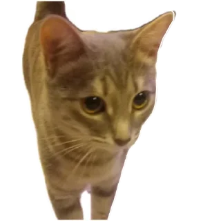 Sticker Больше стиков тут: @stikery4 - 2