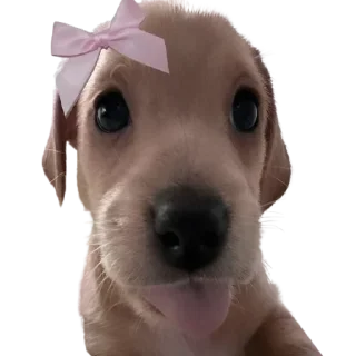 Sticker Больше стиков тут: @stikery4 - 0