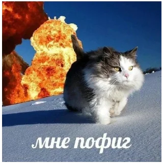 Sticker Лучьше стикеры - @lovesticers - 3