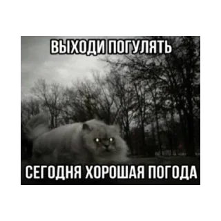 Sticker Лучьше стикеры - @lovesticers - 1