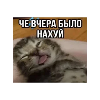 Sticker Лучьше стикеры - @lovesticers - 8