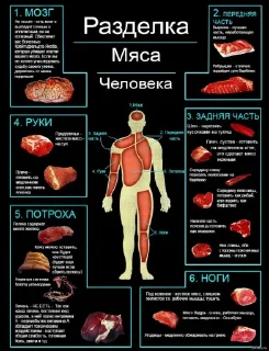 Sticker Пенисмастер @TgEmodziBot - 5