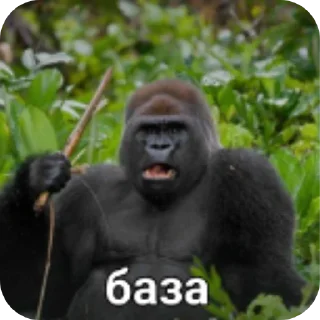 Стикер КАМПАФФ АБАЖАЮ @dnevnikkipera1 - 3