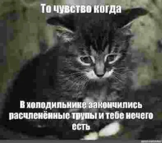 Стикер карманный шум шумит - 10