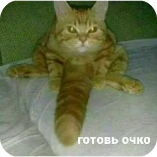 Стикер Кек @TgEmodziBot - 9