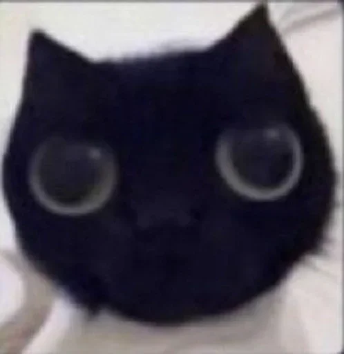 Стикер khren_kaka_ta_by_MoiStikiBot - 1