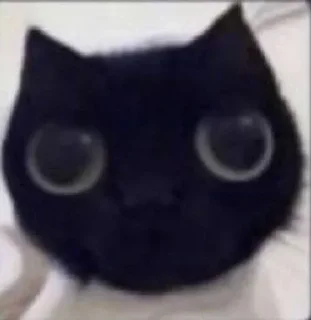 Стикер хрень кака та  стикерпак anqwerrrr - 4