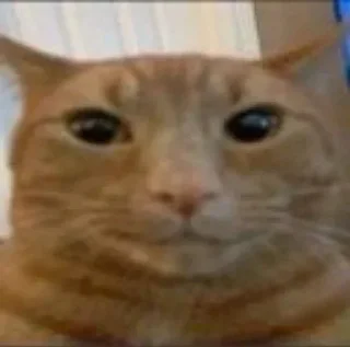 Стикер хрень кака та  стикерпак anqwerrrr - 3